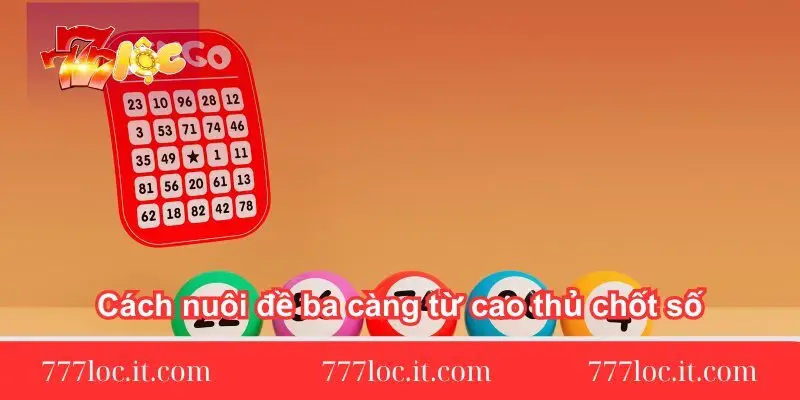 cach-nuoi-de-ba-cang-tu-cao-thu-chot-so
