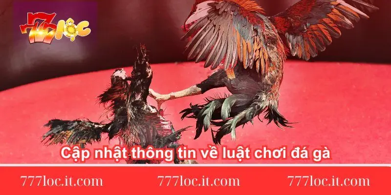 cap-nhat-thong-tin-ve-luat-choi-da-ga