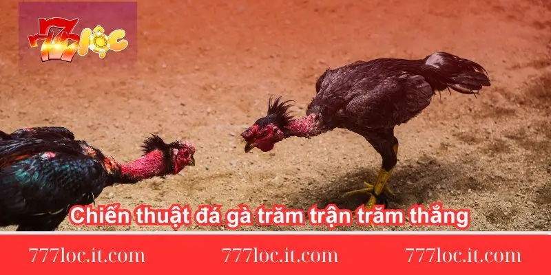 chien-thuat-da-ga-tram-tran-tram-thang