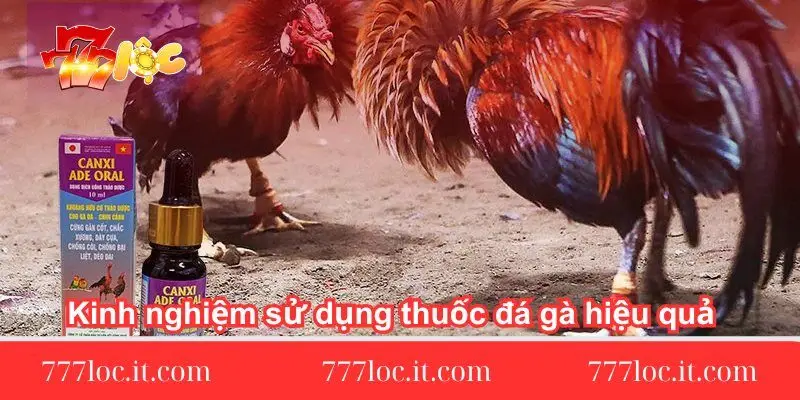 kinh-nghiem-su-dung-thuoc-da-ga-hieu-qua