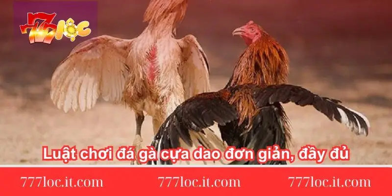 luat choi da ga cua dao don gian day du luat-choi-da-ga-cua-dao-don-gian-day-du