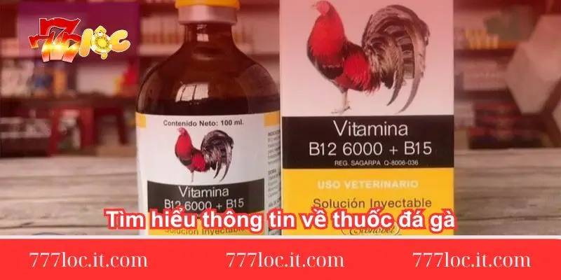 tim hieu thong tin ve thuoc da ga tim-hieu-thong-tin-ve-thuoc-da-ga