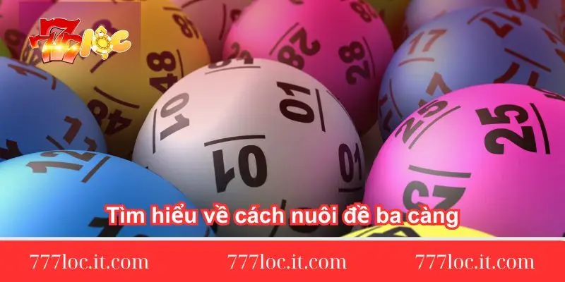 tim hieu ve cach nuoi de ba cang tim-hieu-ve-cach-nuoi-de-ba-cang