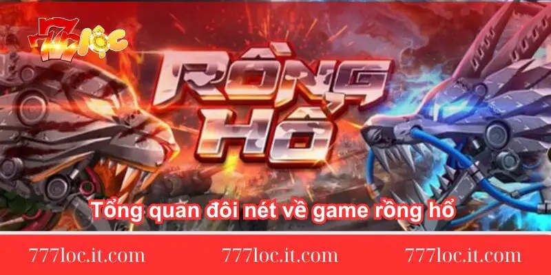 tong quan doi net rong ho la gi tong-quan-doi-net-rong-ho-la-gi
