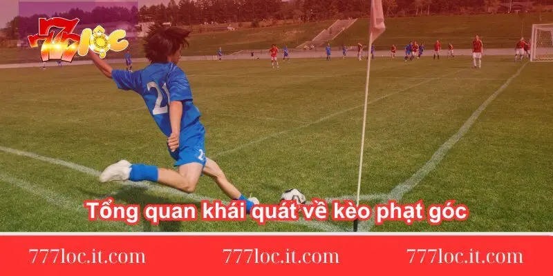 tong quan khai quat ve keo phat goc tong-quan-khai-quat-ve-keo-phat-goc