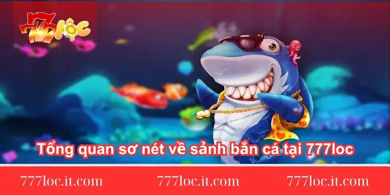 tong-quan-so-net-ve-sanh-ban-ca-tai-777loc