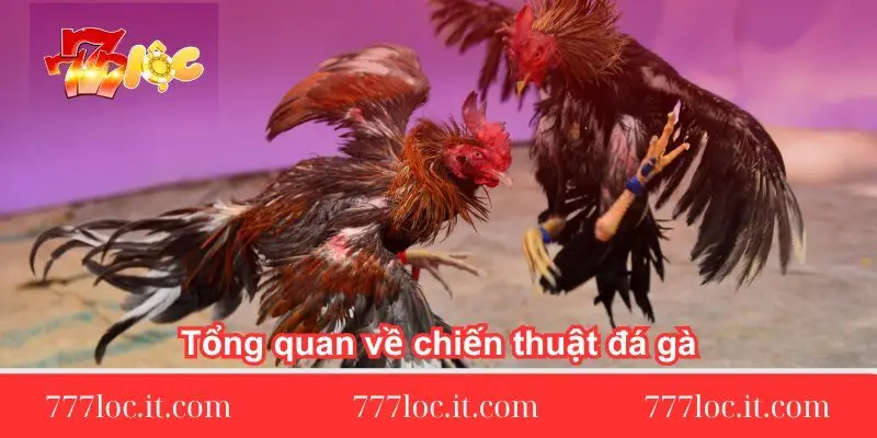 tong-quan-ve-chien-thuat-da-ga