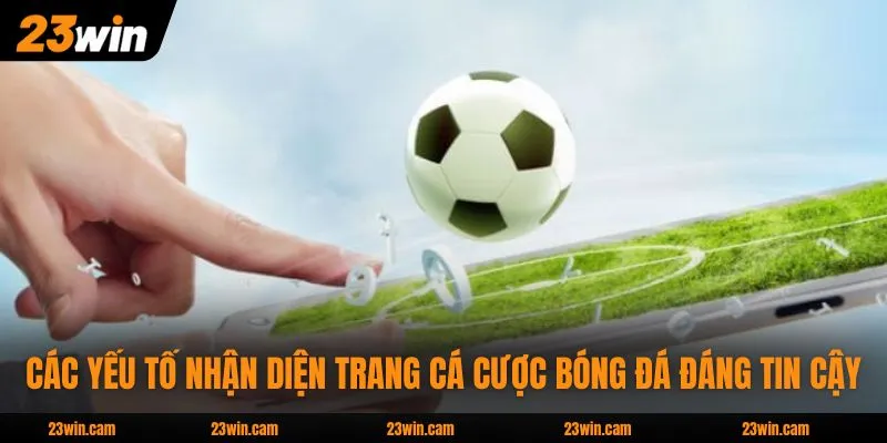 Các yếu tố nhận diện trang cá cược bóng đá đáng tin cậy